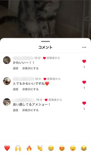 コメント内容